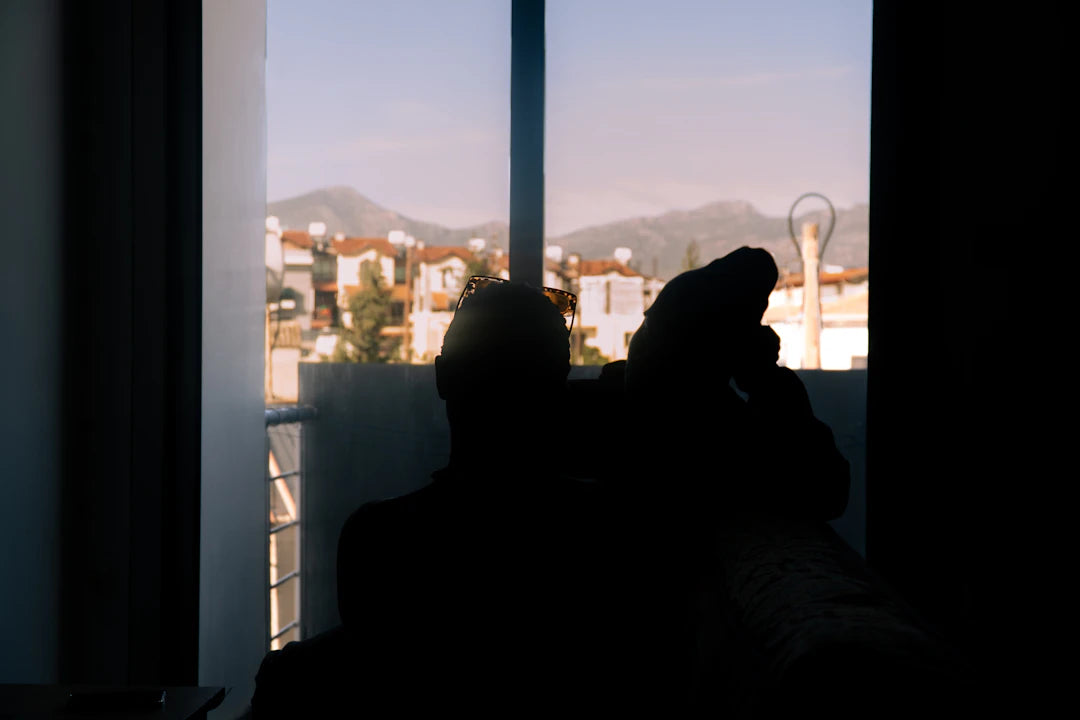 Person silhouetted against a window with mountain view.